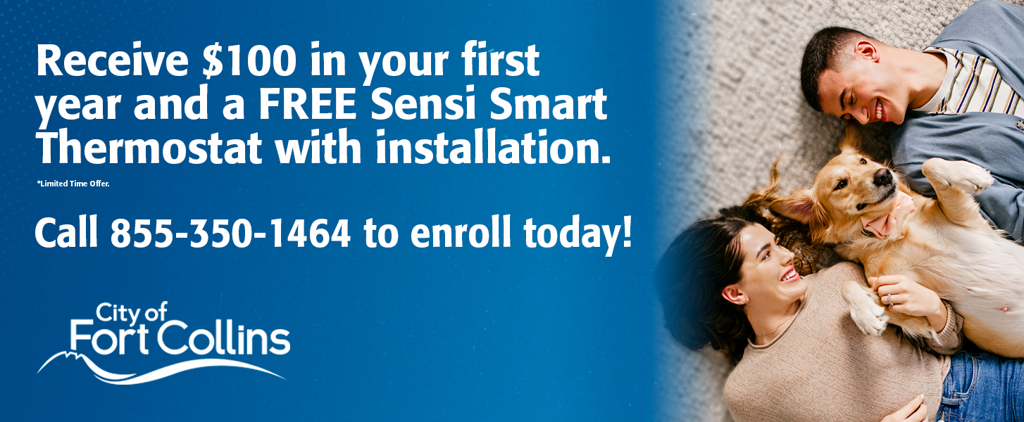 fcu-sensi-website-banner-3